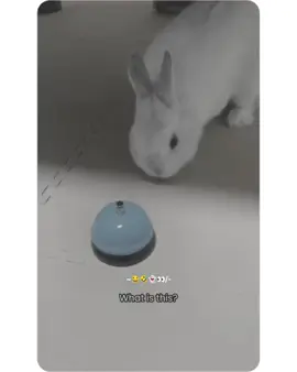 Alka da kho kha se de🤣😂 #trinding #funnyvideo #videoviral 