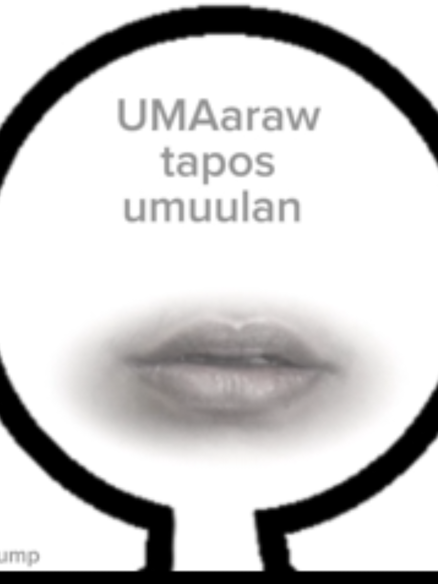 My rain and sunshine #riceshower #haruurara #umamusume #umamusumeprettyderby #filipino 