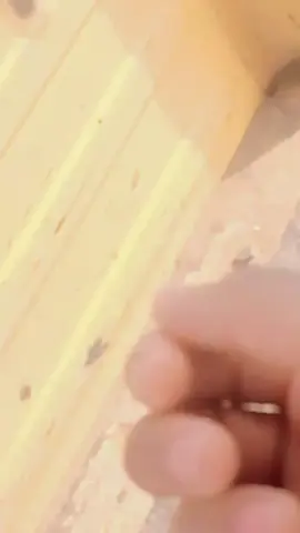 #for you my video tiktok account viral ll#location Islamabad#for you #