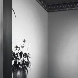 #magi #sinbad#magi #fyp #on 