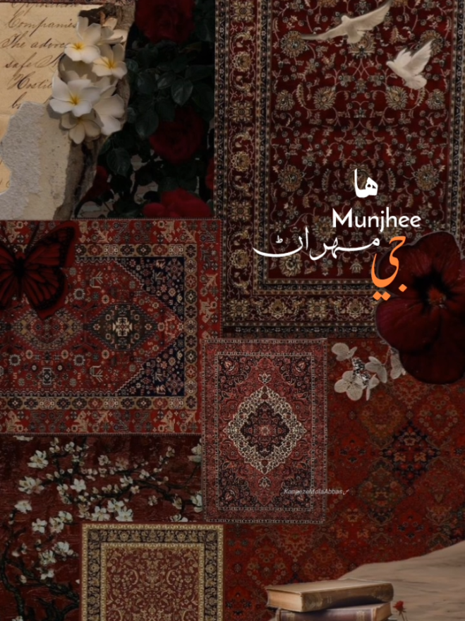 7th Dec culture Day Of Sindh ♥️🫶🏻 #cultureday #sindh #yaali #yaalimadad #shiatiktok 