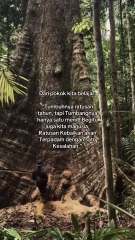 #katakata #kesalahan #foryoupage #fypage #fypシ゚ 