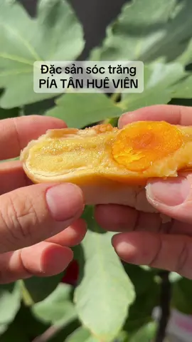 Đặc sản sóc trăng . Bánh Pía TÂN HUÊ VIÊN , bánh pía đậu xanh, sâu riêng, trứng muối. #banhpiasoctrang #banhpiatanhuevien #tanhuevien #dacsanvietnam #pia 