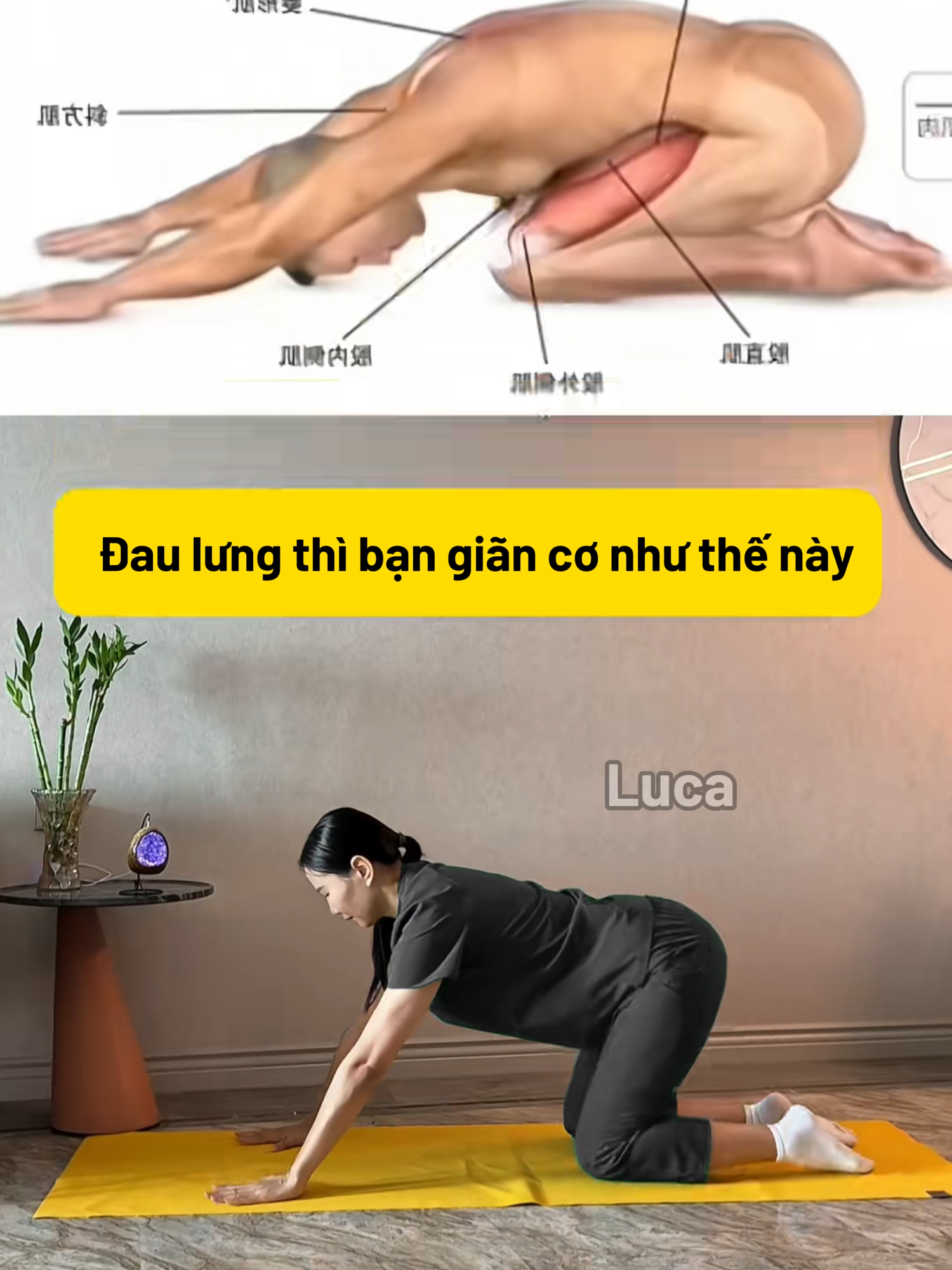 ĐAU LƯNG THÌ BẠN GIÃN CƠ NHƯ THẾ NÀY #virals #luca #coxuongkhop #daulung #covaigay