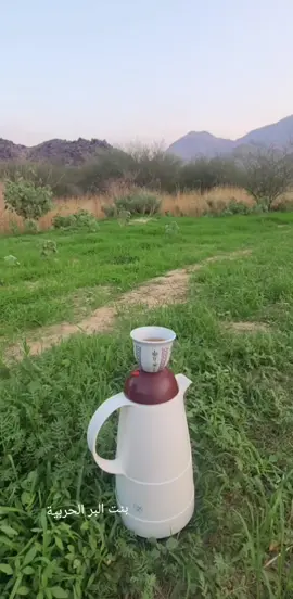 صباح الخير والسعادة لقلوبكم #تصويري_احترافي👌   #اكسسسسبلورررر #🌹 