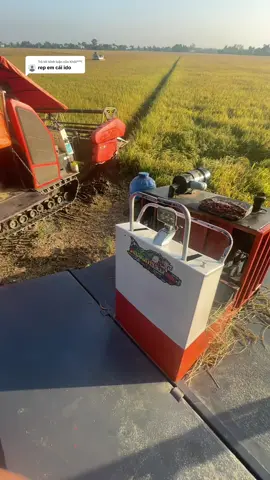 Trả lời @Khôi°°°! lên nek #xuhuongtiktok2025@linhđa1204 @🎀 Đa Nguyễn🎀93Extra🌾 @✈️Tài nhỏ đi 93  ✈ @🎀Hoài Nam🎀108x🌾 @Liêm Plus @Thọ nguyễn dc108X 