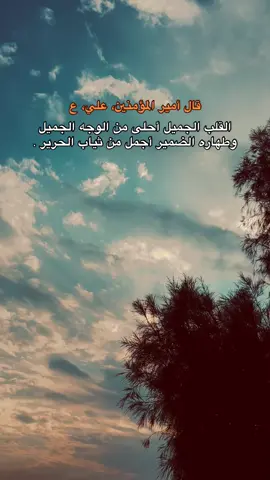 صدقت يامير المؤمنين 🤎.#امير_المؤمنين #علي_بن_ابي_طالب #ياعلي_مولا_عَلَيہِ_السّلام #تصويري_احترافي_الاجواء👌🏻🕊😴 #تصميم_فيديوهات🎶🎤🎬 