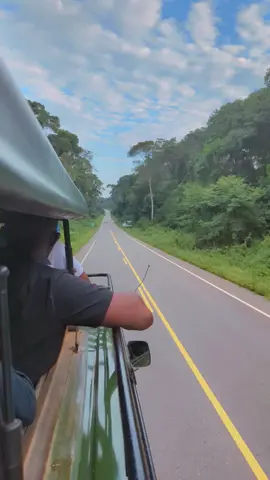 Into the wild we cruise Budongo forest where the journey is just as breathtaking as the destination 🐒🐒#murchisonfallsnationalpark #tiktokviral #TripVibes #viraltiktok #foryoupage @Carthyrinah✨||Creator 🥰💃🏽 @Mwizaallen🤍 @Kaftah    queen 