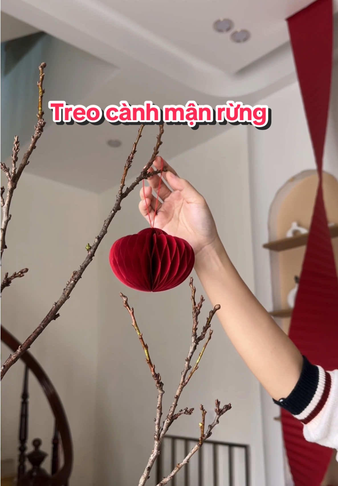 Các bác năm nay chưng mận rừng với đào thì nhớ treo đèn lồng giấy cho sang nhà nha ạ #tết2026 #decor #LearnOnTikTok #trangtrinhacua #noel 