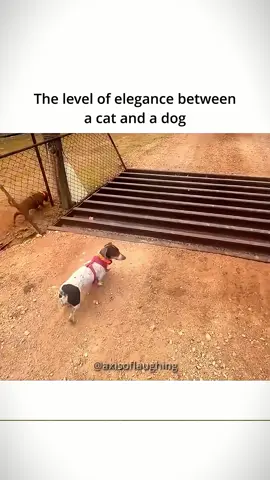 aceh🥀 sumut 🥀 sumbar 🥀#prayforsumatra #banjirbandang #aceh #sumut #sumbar