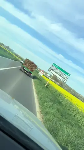 Bois de chauffage de Qualité, à vendre  pour l'hiver ,ce bois est bien sec. Format : 1m , 2m,3m,4m, 25cm, 30 cm, livraison rapide disponible,dans la France,la Belgique les Caraïbes et les USA,  tarifs : 55€/ stère+ bonus sur commande>10 stères ! venez en Mp pour plus d'infos  #bucherons #hiver #chauffage #boischauffage 