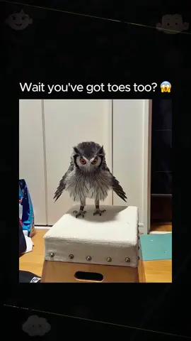 aceh🥀 sumut 🥀 sumbar 🥀#prayforsumatra #banjirbandang #aceh #sumut #sumbar