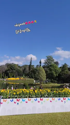 #ပြင်ဦးလွင် #ပန်းမြို့တော်🌸🌺🌹🥀💐🌷 #fyp #မင်းတို့ပေးမှ❤ရမဲ့သူပါကွာ #မင်းတို့idolဖစ်ချင်လို့🤭💖 