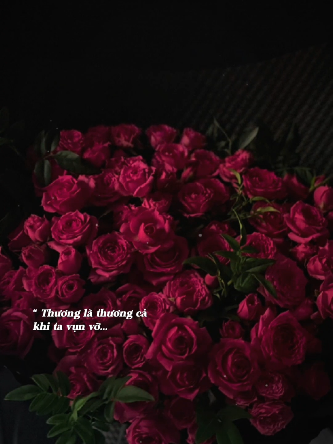 Thương là thương cả nắng và mưa... #nhachaymoingay #Bkmuzic 