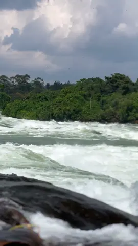 Beautiful Uganda 🇺🇬 #adventure #visituganda #ugandatiktok #fypp #exploreuganda 