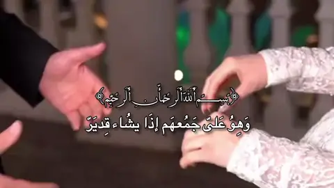 #عبارات_حب #حلات_واتس #aa #pppppppppppppppppppppp 