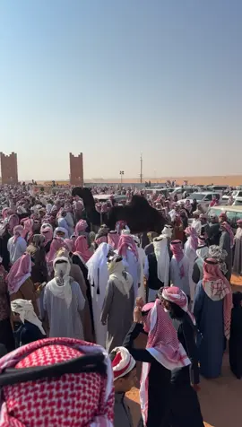 موسم الدواسر 👏🏻. #الصياهد 