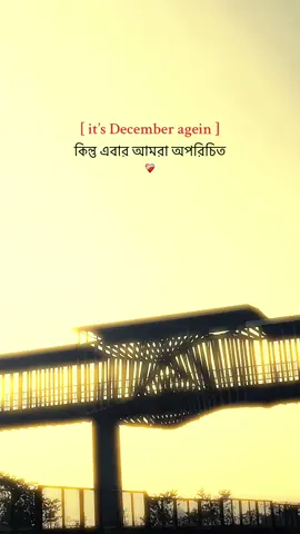 কিন্তু এবার আমরা অপরিচিত 