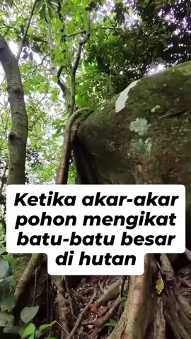 #fyp #bencananasional #bencana #hutangundul #banjirsumatera