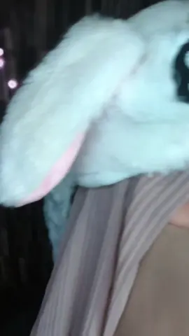 aww tor monitor ketua #fyp 