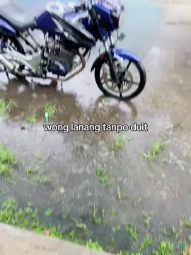 Aku di warai boloku🙏🏻 #tigerberkahelpiji #fyp #kediri24jam 