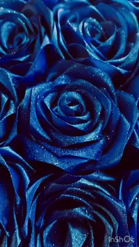 Order now 💗All over Pakistan delivery 🚚💕#viralvideo #viral #foryou ##fyp 