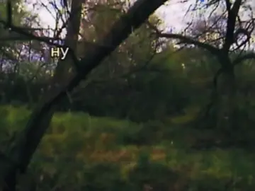 [ порез на собаке - стая мух ] ня~ (как де без традиции).Мне инетресно,а описание ктото читает?или я зря шото надумываю🥺. Мне было лень монтировать + у мя дистанционка из за которой мне лень чтото делать (мне и после школы лень чтото делать).шо еще писать,хз. #порезнасобаке #стаямух #что #оклол #батярня #ня #fyp #fyp #fyp #fyp #fyp 