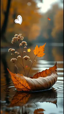 #دعاء_الصباح #دعاء_يريح_القلوب #دعاء_مستجاب #دعاء#صباح_الخير 