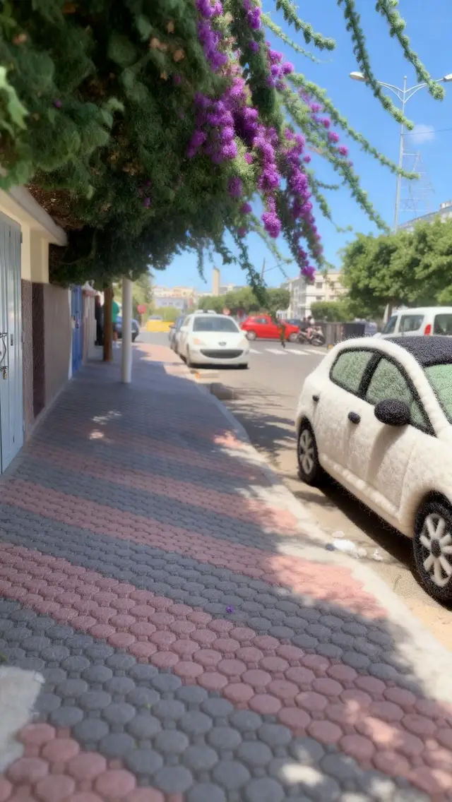 #شعب_الصيني_ماله_حل😂😂 