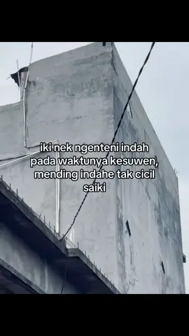 #jowostory #jowopride #motivasijowo #fyp #bahanswmu 