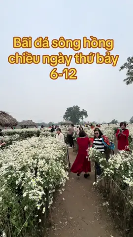 Bãi đá sông hồng chiều cuối tuần ngày 6-12#baidasonghong #chupanhaodai #muathuhanoi #photography #ngocphoto 