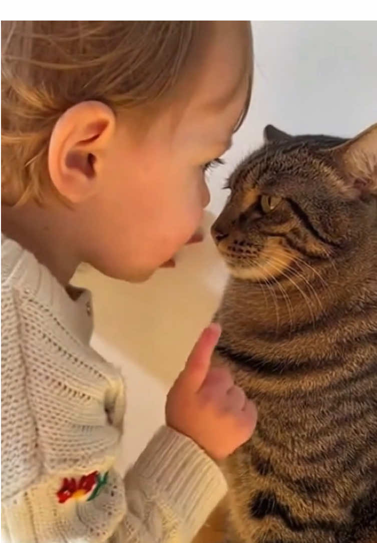 Funny babies 😂😂#funnybabyvideos #funnybabies #cat #catlover #catsofttiktok 