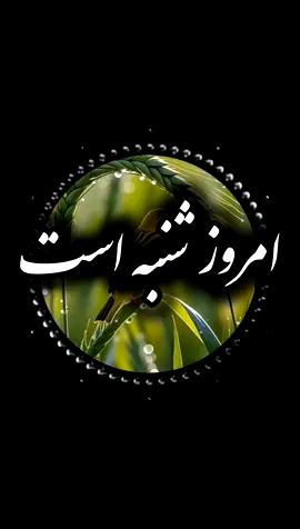 بفرست بره #foryou #foryoupage #foryou #خدا 