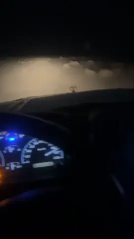 #ربع #explore #اكسبلور 