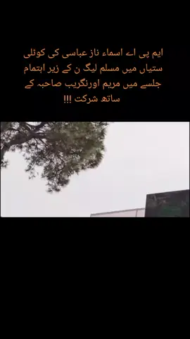 #asmaabbasipmln #asim_abbaxi343 #pmln #maryamnawaz#maryamnawazsharif #maryamnawaz