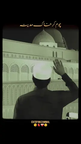 چوم کر خاک مدینہ☺️😘🫀 #foryou#foryoupage#unfreezemyaccount#growmyaccount#12rabi_ul_awal 