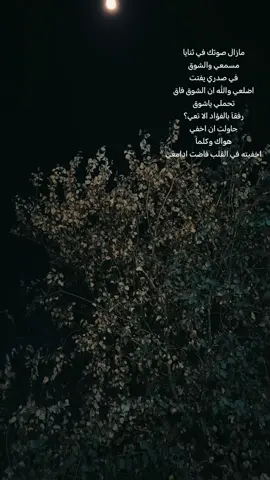 مازال صوتك في ثنايا مسمعي  #صعدو_الفيديو #عباراتكم_الفخمه📿📌 #عباره_تناسب_الڤيديو_🎥🎞️ #لايك__explore___ #شعراء_وذواقين_الشعر_الشعبي🎸 