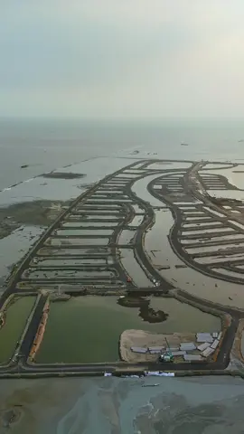 Toàn cảnh quay tiến độ Vinhomes Green Paradise Cần Giờ 06/12/2025 ☀️✨💫 Tiến độ thần tốc Tiến độ Vinhomes Cần Giờ  #vinhomes #VinhomesGreenParadise #vinhomescangio #cangio #xuhuong 