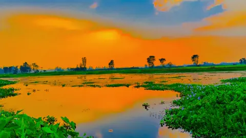 দুঃখ প্রকাশে যদি দুঃখ কমতো তাইলে কি মানুষ নিরব থাকতো........😩❤️‍🩹🌿#viral #anfeezemyaccont #viral_video_tiktok #greenscreen #naturelover 