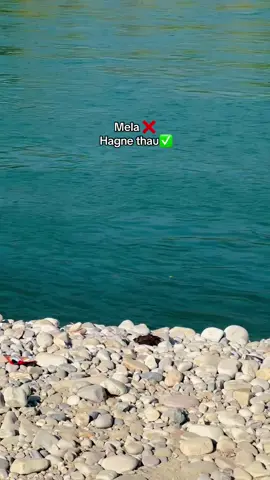 Riverside❌ guhe side✅ #shubhaghatmela #mehelkuna #mehelkuna_surkhet #surkhetmuser🇳🇵 