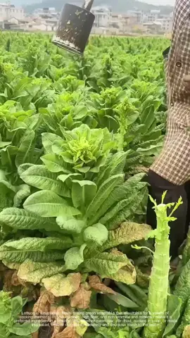 #الله_المستعان احذروا من قصص الذكاء الاصطناعي 