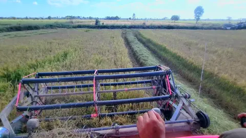 តិចៗគ្រាន់រួចថ្លៃទឹកត្រឡាយ