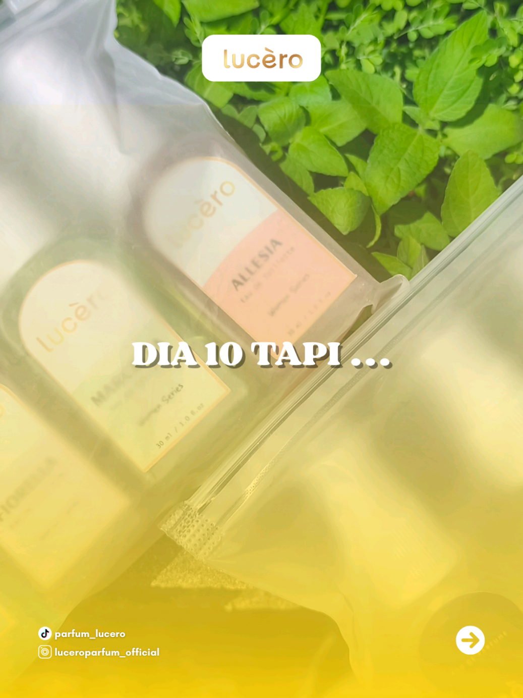 Dia 10 sih tapi ..  Temuka 10 kamu di Lucero Parfum 🥹💋 Cuma di sini 1 bundling seharga 20.000 aja udah gratis ongkir seluruh indonesia 👀‼️ PROMO TERBATASS ‼️ #parfumviral #parfum #luceroparfum #viral #fyp 