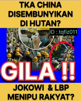 TKA CHINA IMIP DISEMBUNYIKAN DI HUTAN? ID:tqfiz011  #fyp #trending #viral #rocky #akalsehat @Aab Elkarimi @Gusnur 13 @Anies Rasyid Baswedan @Forum Keadilan @Fans Rocky Gerung @Aa Gym Official @Kucing Mujair @Terus Terang Media 