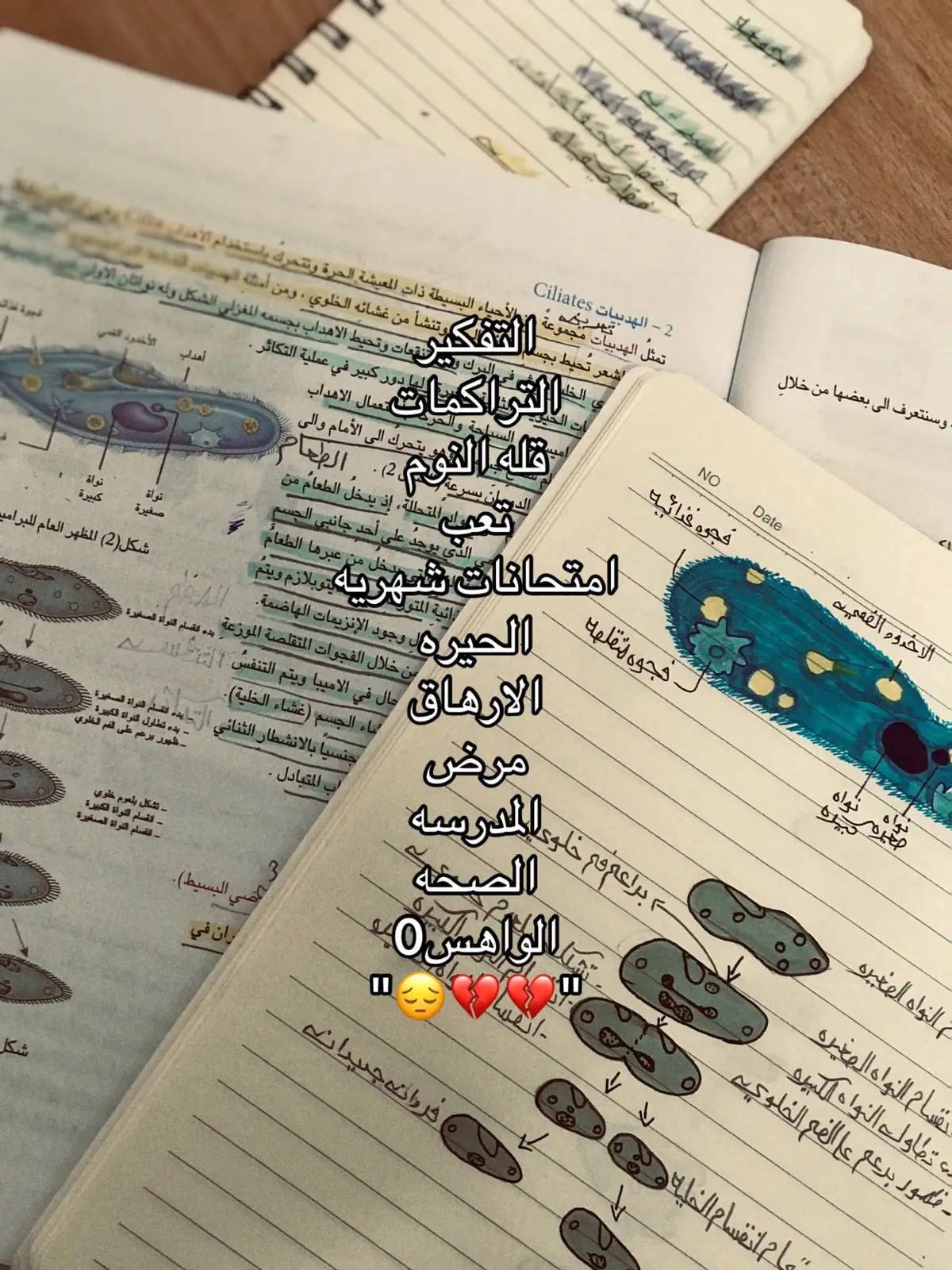 #الحمدلله_دائماً_وابداً #تصويري 