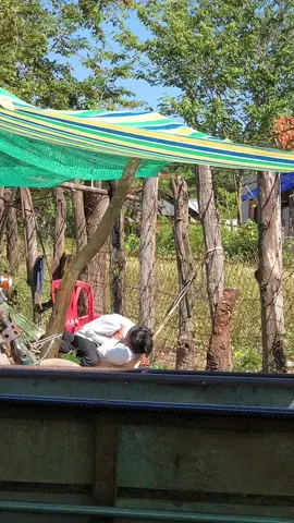 ពីនាក់បានហើយ🤣🤣#ចង់មានអ្នកគាំទ្រដូចគេដែរ☹️ #សុំ❤️❤️ម្នាក់មួយមក😭 