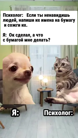 Психологу теперь нужен Психолог.....  #мемы #мем #коты #art #мемыскотами #кот #рилс #asmr #кошак #котейка #кошка #котята #котик #мемчики #мем #вирусныйконтент #видеоюмор #юмор #юморист #приколы #прикол #лайки #лайк #подписка 