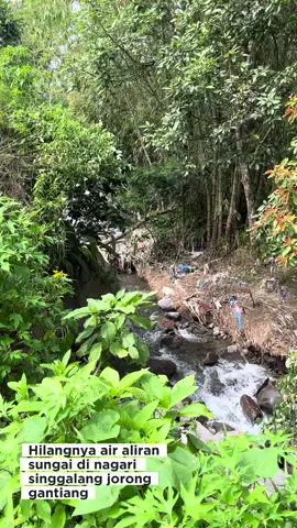 Hilang nya air sungai di nagari singgalang jorong gantiang