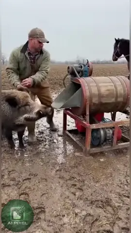 #trending #viralvideo #fyp #growmyaccount #foryou 