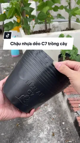 Chậu nhựa dẻo trồng cây trồng hoa #trongcay #chautrongrau #tronghoa #chaunhua #xuhuong 